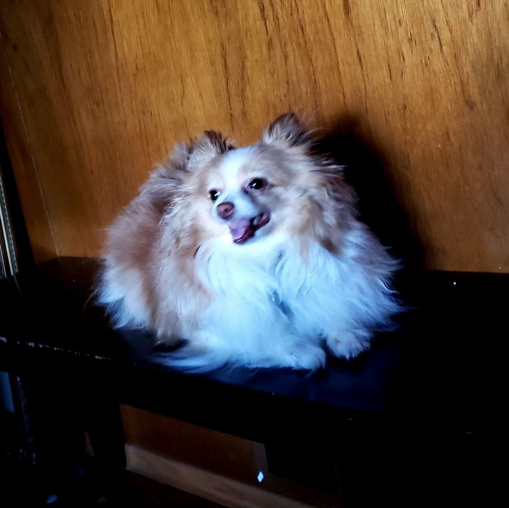 Meet your Posher, Katherine